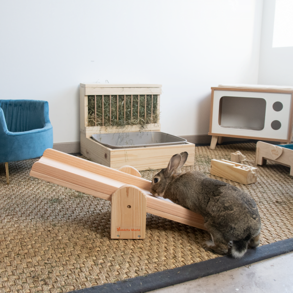 Bascule Krokmou en bois pour les lapins