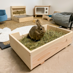 Foin de prairie dépoussiéré pour lapin