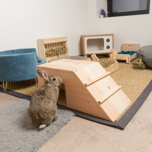 Maison Helheim en bois pour les lapins