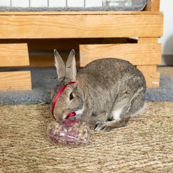 Coeur aux fleurs pour les lapins