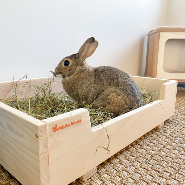 Parc à foin idéal pour occuper son lapin