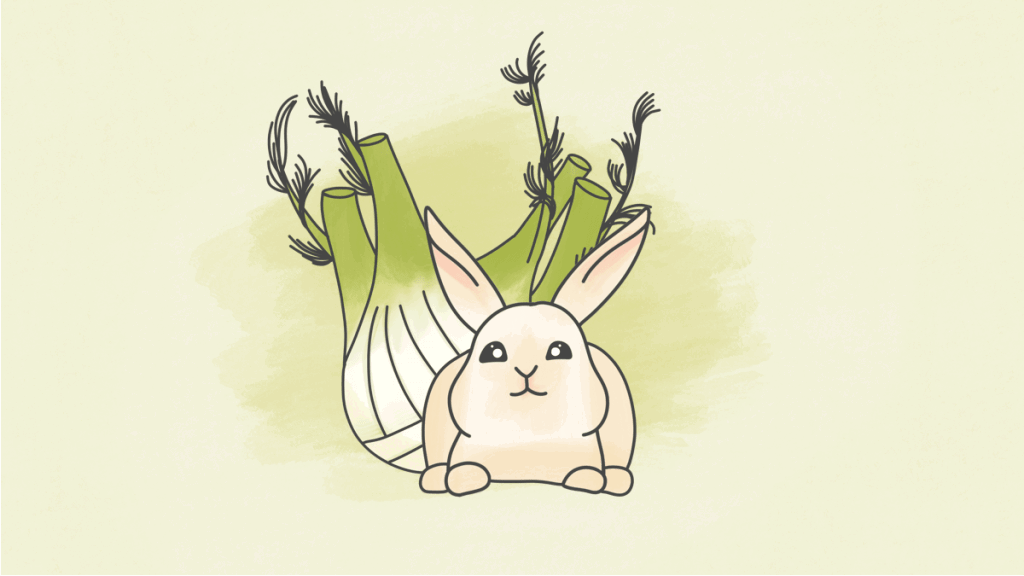 Le fenouil pour le lapin