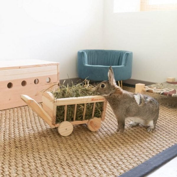 Charrette-râtelier à foin en bois pour les lapins