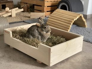 Le sommeil chez le lapin