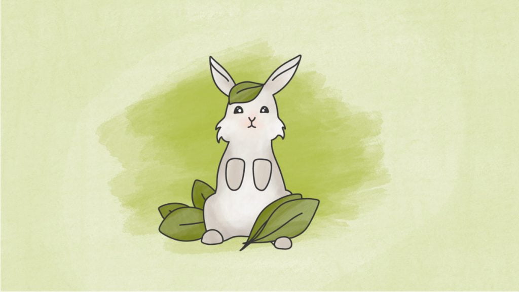 Epinard pour le lapin