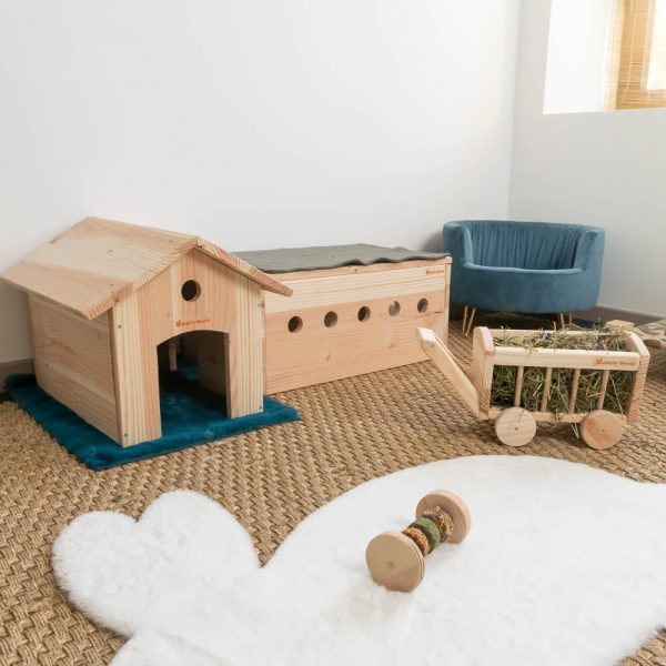 Tunnel Nupi en bois pour les lapins