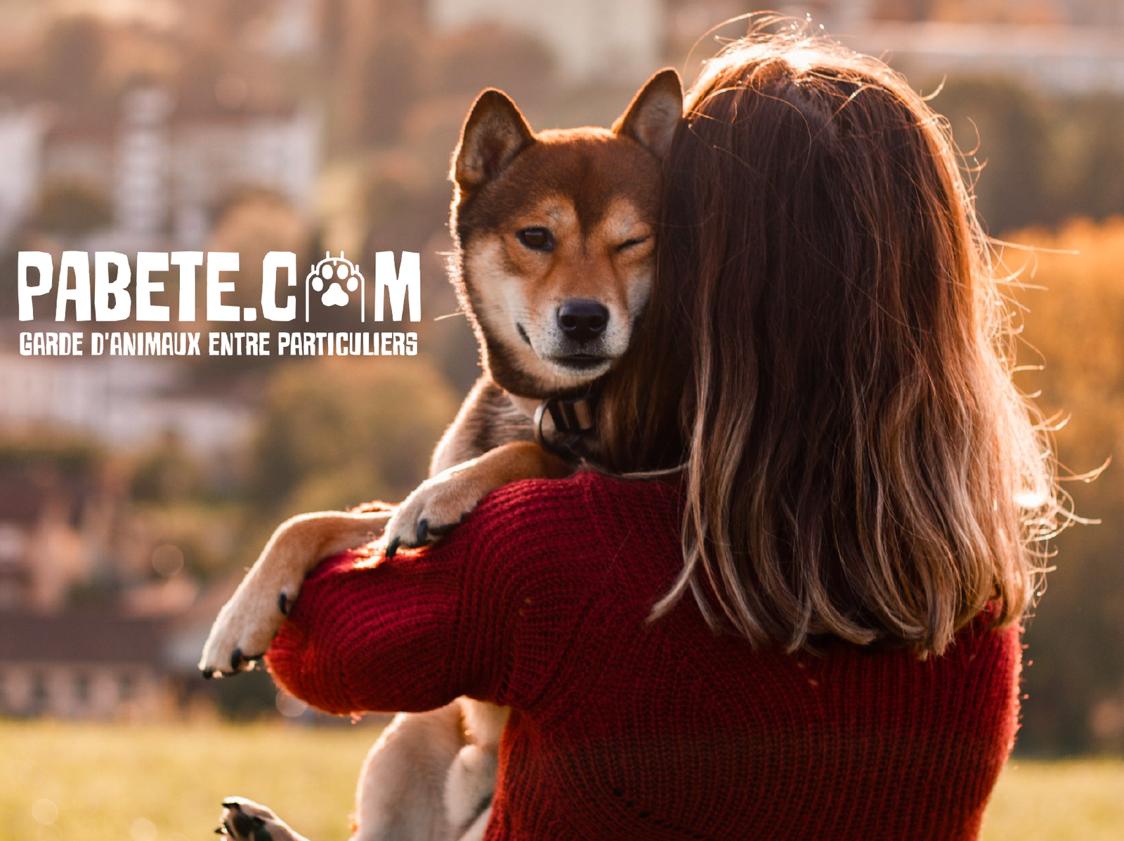 Pabete, plateforme collaborative de garde d'animaux