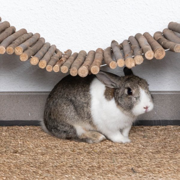 Passerelle en bois pour les lapins