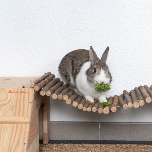 Passerelle en bois pour les lapins