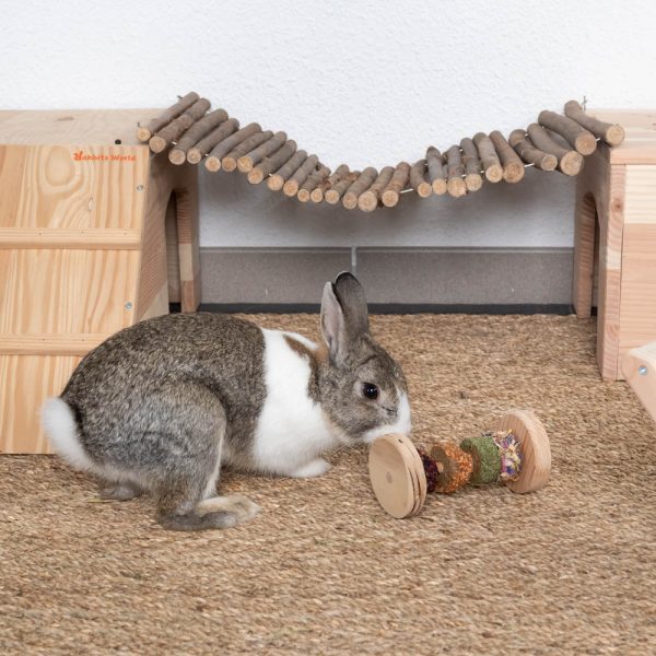 Passerelle en bois pour les lapins