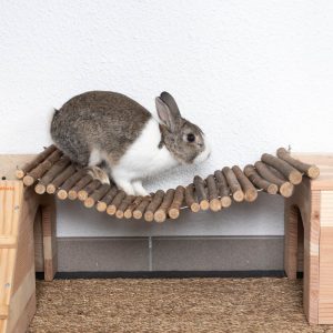 Passerelle en bois pour les lapins