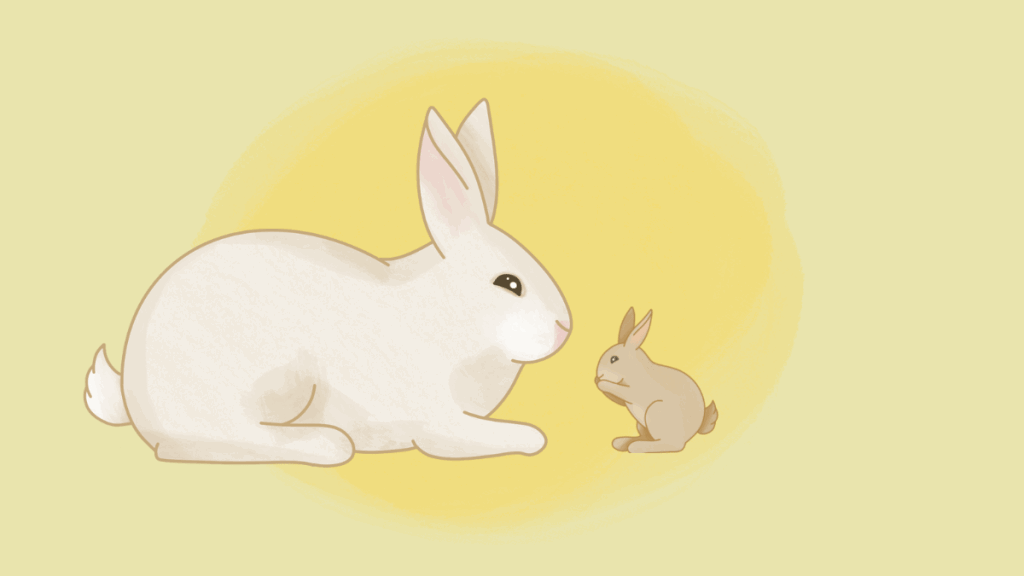Lapin géant des Flandres : mode d'emploi
