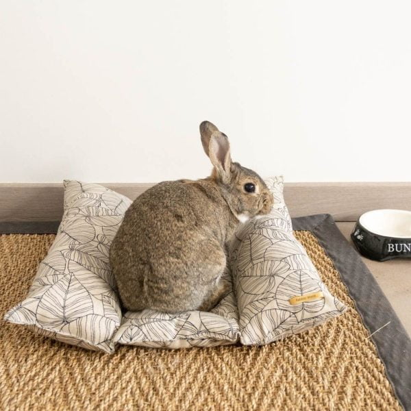 Roll N Flop végétal pour les lapins