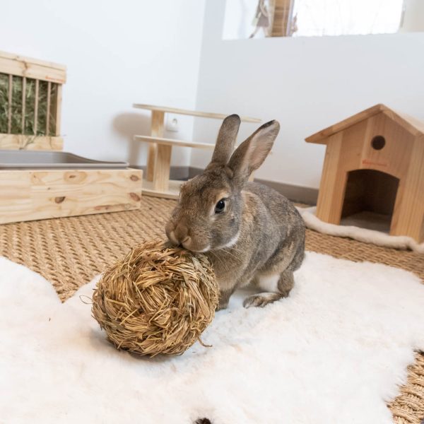 Balle en herbe avec clochette pour lapins