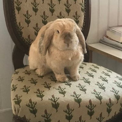 Caramel, (Céline)