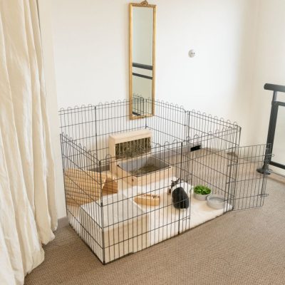 Enclos aménagé pour lapin