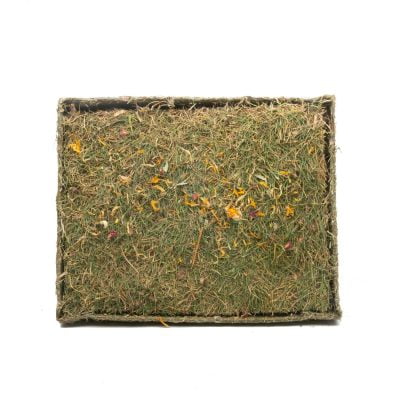Bout de prairie pour lapin