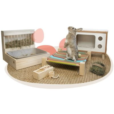Accessoires pour un lapin