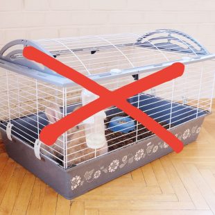Cage à lapin non adaptée