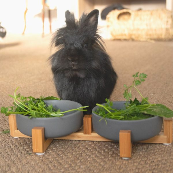 Duo d’écuelles pour lapins nains