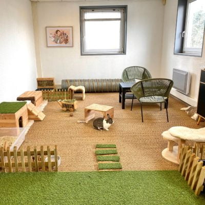 Espace de vie idéal pour un lapin