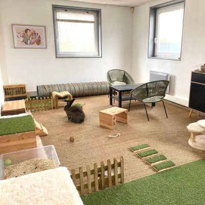 Espace de vie idéal pour un lapin