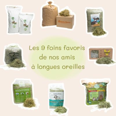 Les 9 foins favoris de vos lapins
