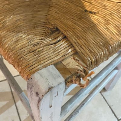 Dégâts occasionnés par un lapin