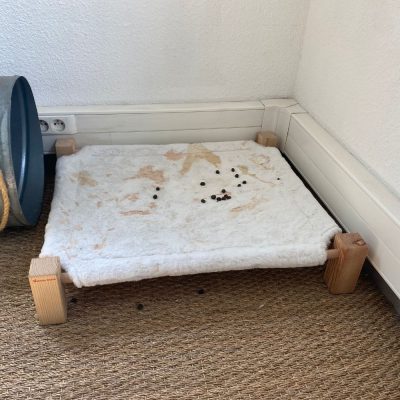 Hamac souillé par des lapins (très propre)