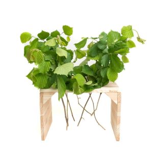 Table à branchage pour lapins