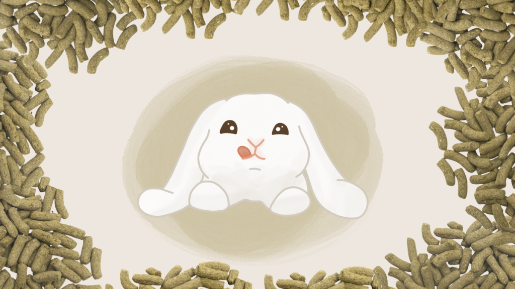 Comment choisir les meilleurs granulés pour lapin ?
