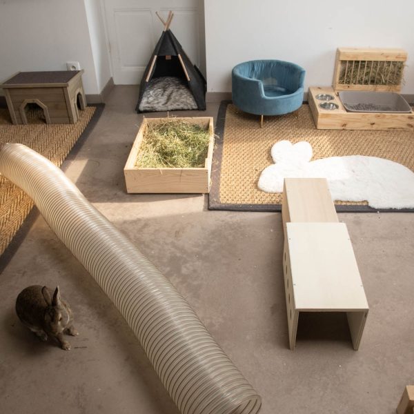 Tunnel extensible en bois pour les lapins