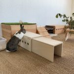 Tunnel extensible en bois pour les lapins