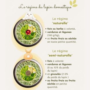 Régime alimentaire du lapin domestique