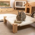 Hochet, jouet en bois pour lapin