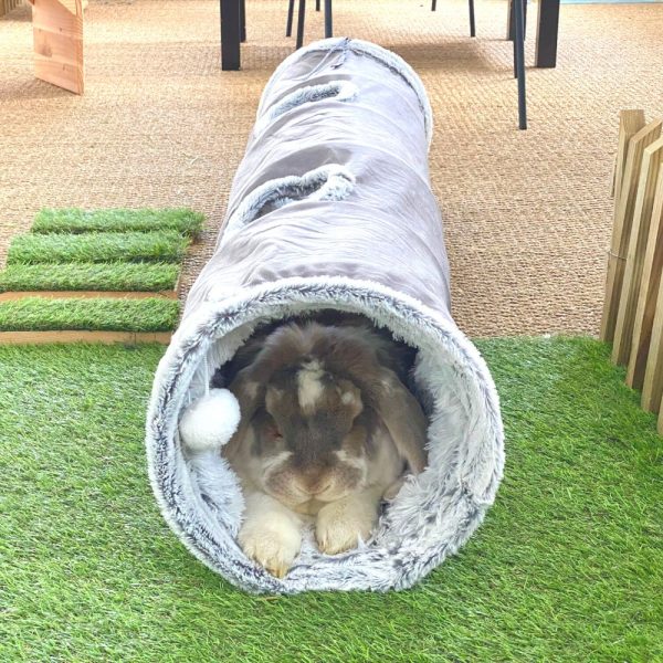 Tunnel Iglie pour lapins