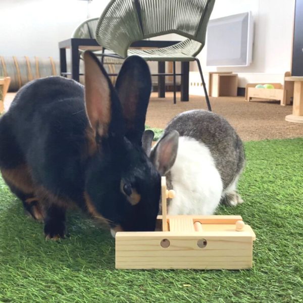 Clap Clap, jouet en bois pour lapin