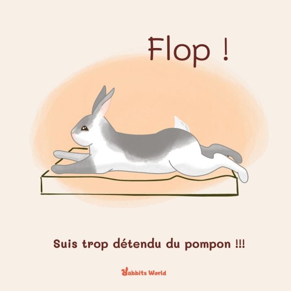 Matelas mémoire de forme pour lapin