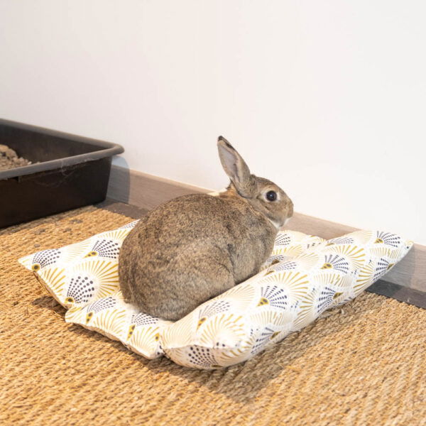 Roll N Gold, coussin pour lapin