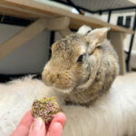 Gaufrette foin, banane et bruyère pour les lapins