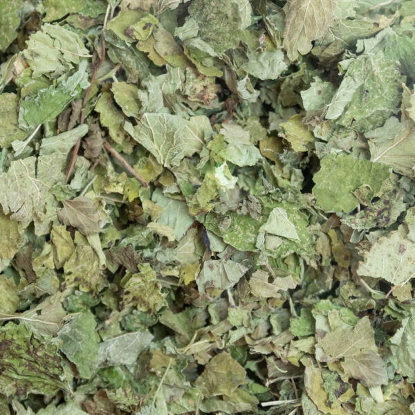 Feuilles de mélisse issues de l'agriculture biologique, friandise naturelle pour lapins