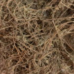 Branches de thym issues de l'agriculture biologique, friandise naturelle pour lapins