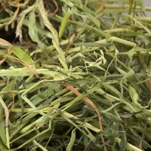 Le foin, l'aliment numéro 1 pour les dents des lapins
