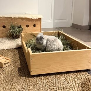 Le foin, l'aliment numéro 1 pour les dents des lapins