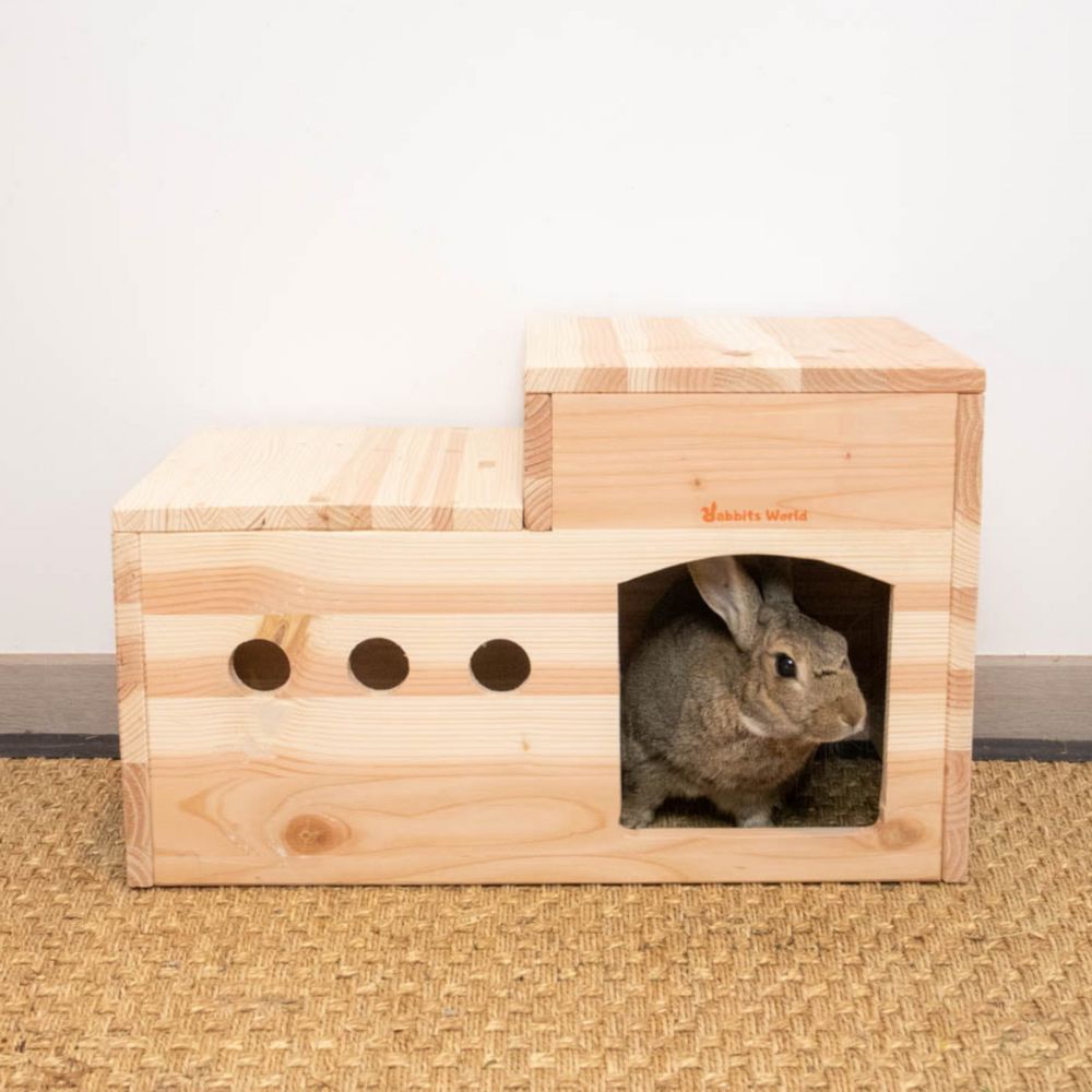 Maison Duplex pour les lapins