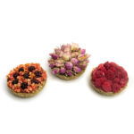 Tartelettes aux fleurs ou aux fruits pour les lapins