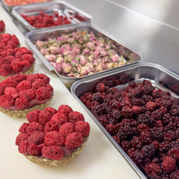 Tartelettes aux fleurs ou aux fruits pour les lapins