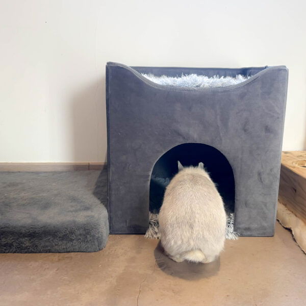 Cabane pliable Teddy pour lapins