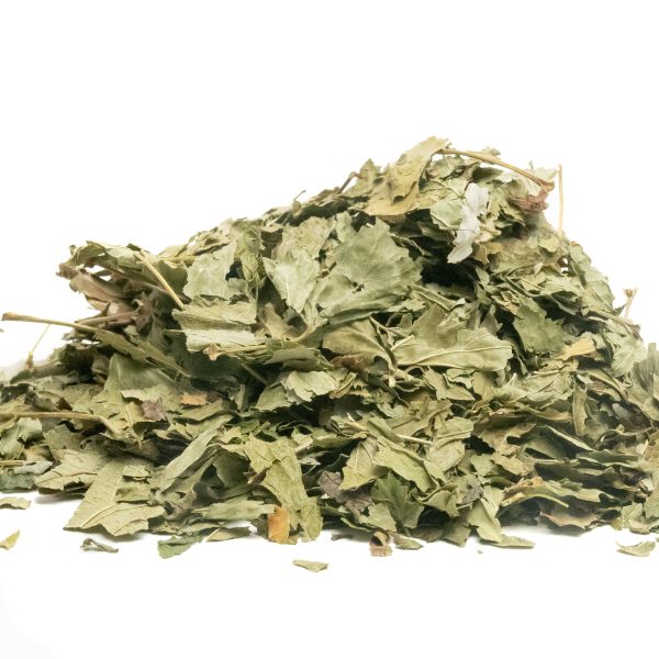 Feuilles de cassis, friandise naturelle pour lapins