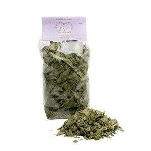 Feuilles de cassis, friandise naturelle pour lapins